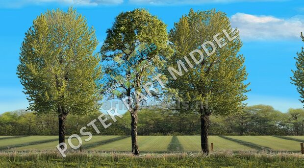 Landschap poster 350mm x 1800mm: Grasland gewierst met aansluitend graanland  Voorgrond met bomen  Lente/ Zomer 1:32 - 1:35