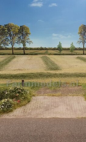 Deel 1 BOUW JE EIGEN Landschapsdiorama in samenwerking met de Agritoy L.C.N.